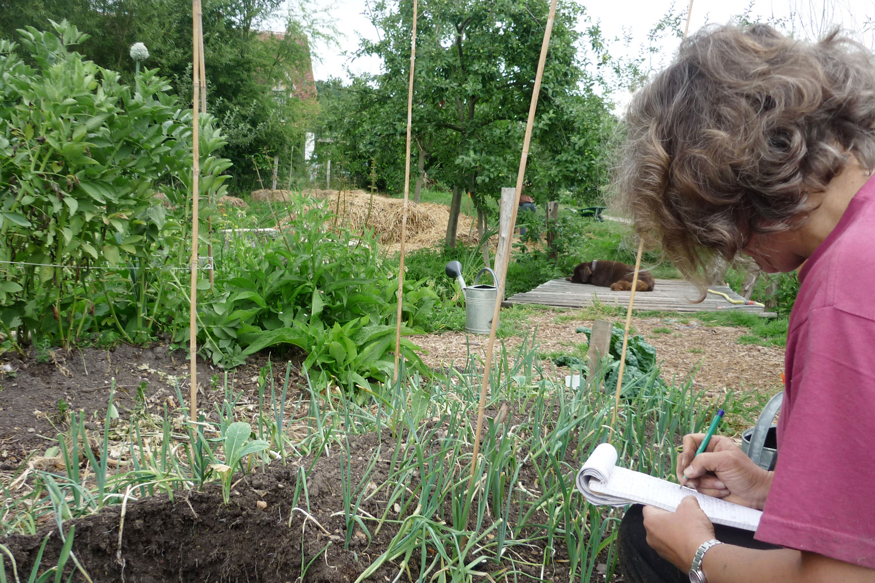 Créatissage Agroécologie Ariège - prise de notes au jardin